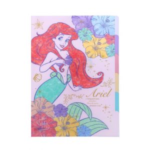 แฟ้มพลาสติกแยกเอกสารได้ 5 ช่อง ขนาด A4 ลาย Ariel